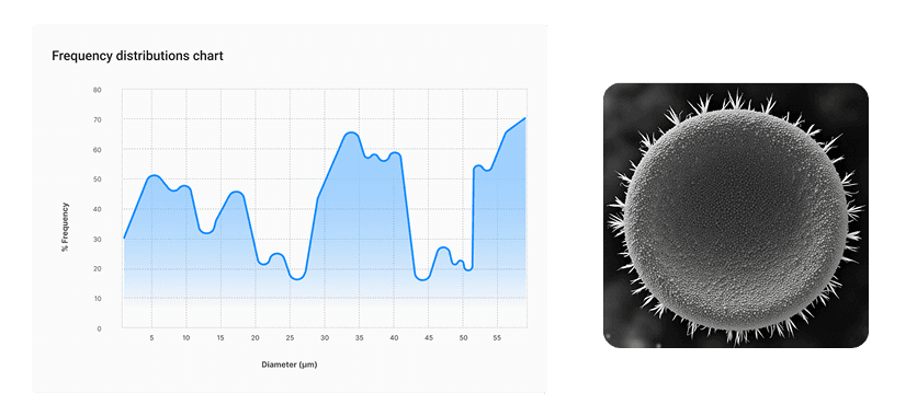 SEM Image Analysis